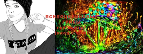 стафф Кинешма