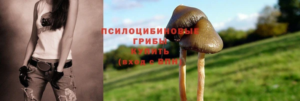 стафф Кинешма